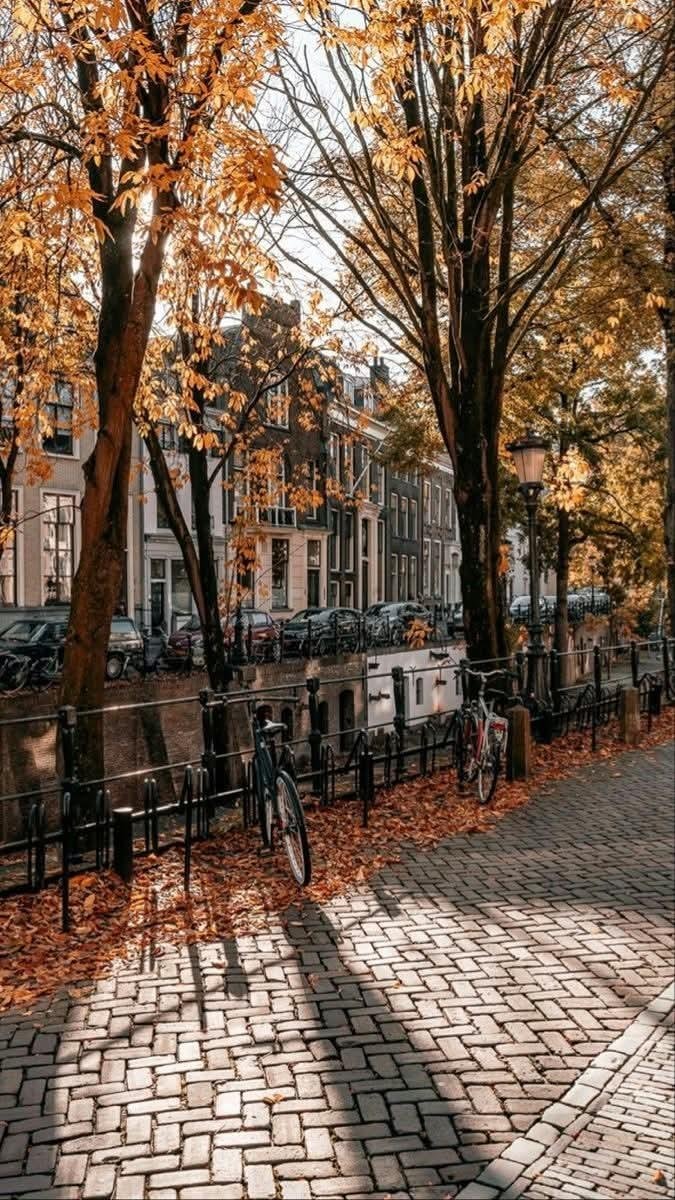 Autumn in Amsterdam Netherlands (photo 4 of 4)