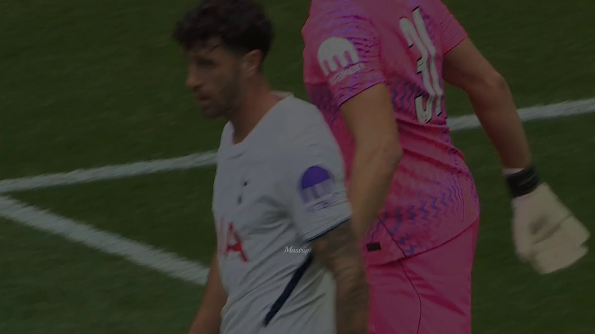 Van Hecke Senesi vs Hoffenheim