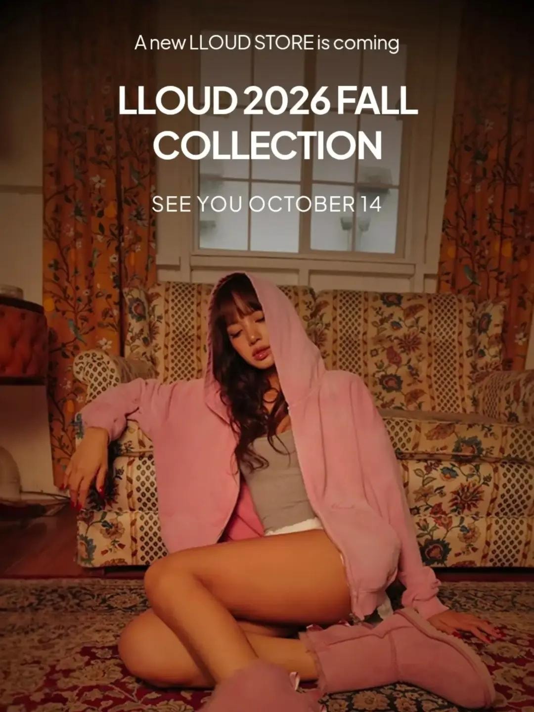 lloudstore newsletter signup