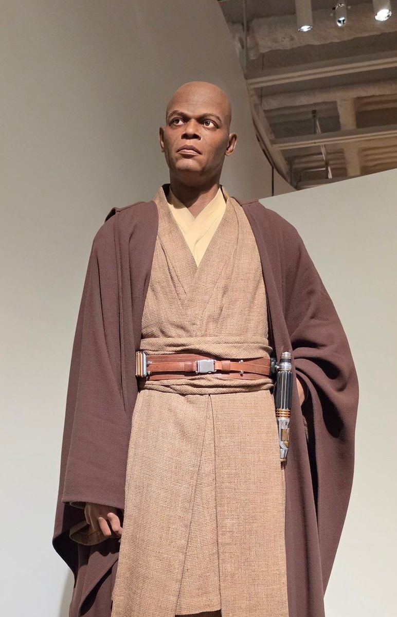 Darth Maul and Mace Windu costumes (photo 2 of 2)