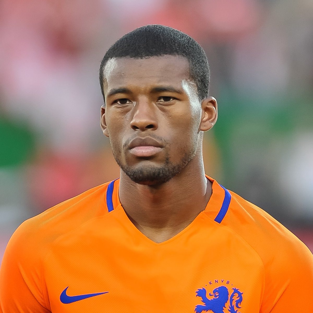 Georginio Wijnaldum Chelsea transfer update (photo 1 of 2)