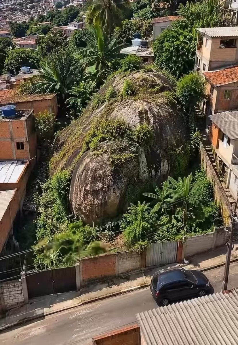 building with nature vibe