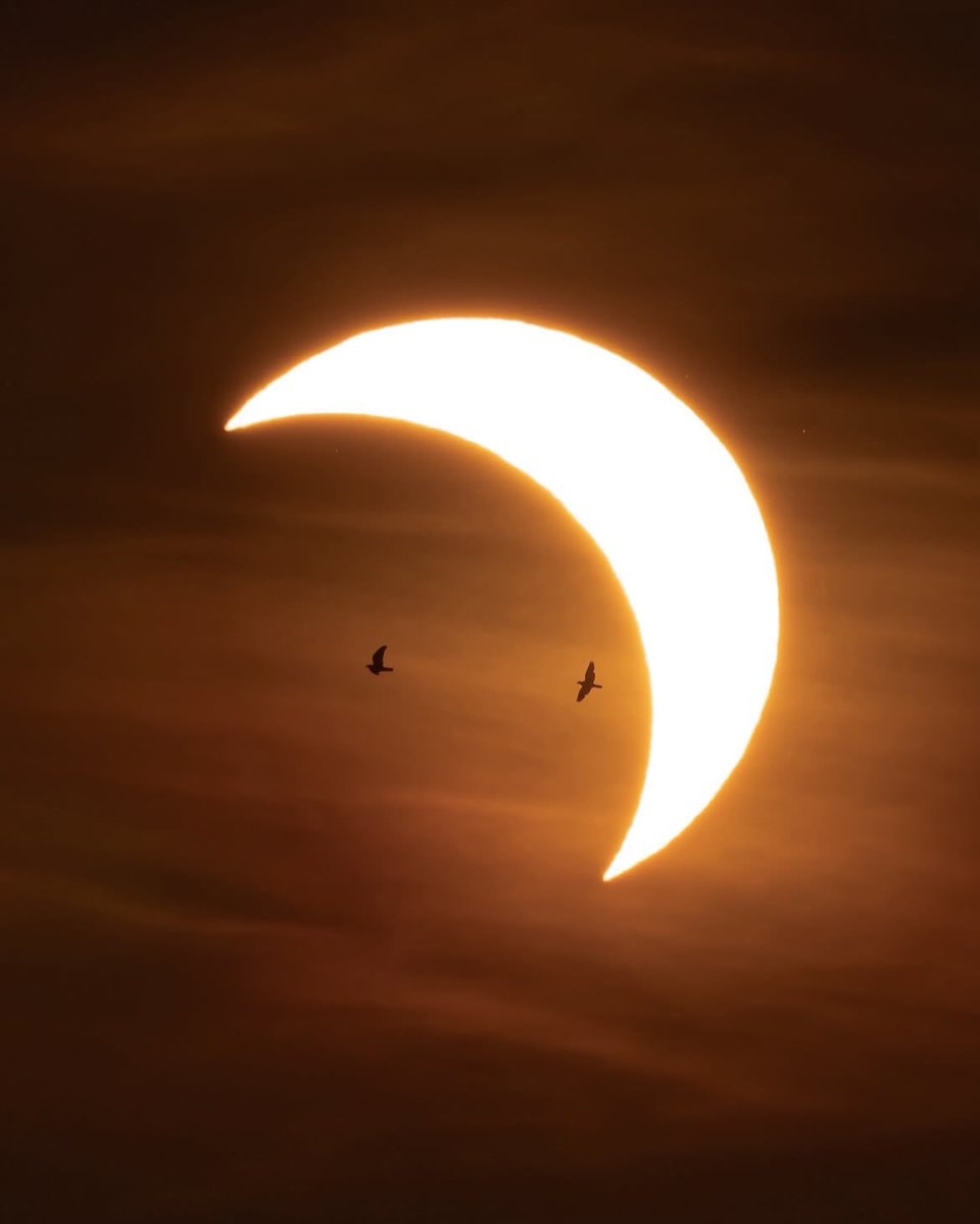 solar eclipse stages (photo 2 of 3)