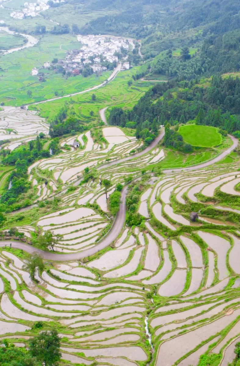 Wuyuan early summer (photo 3 of 4)