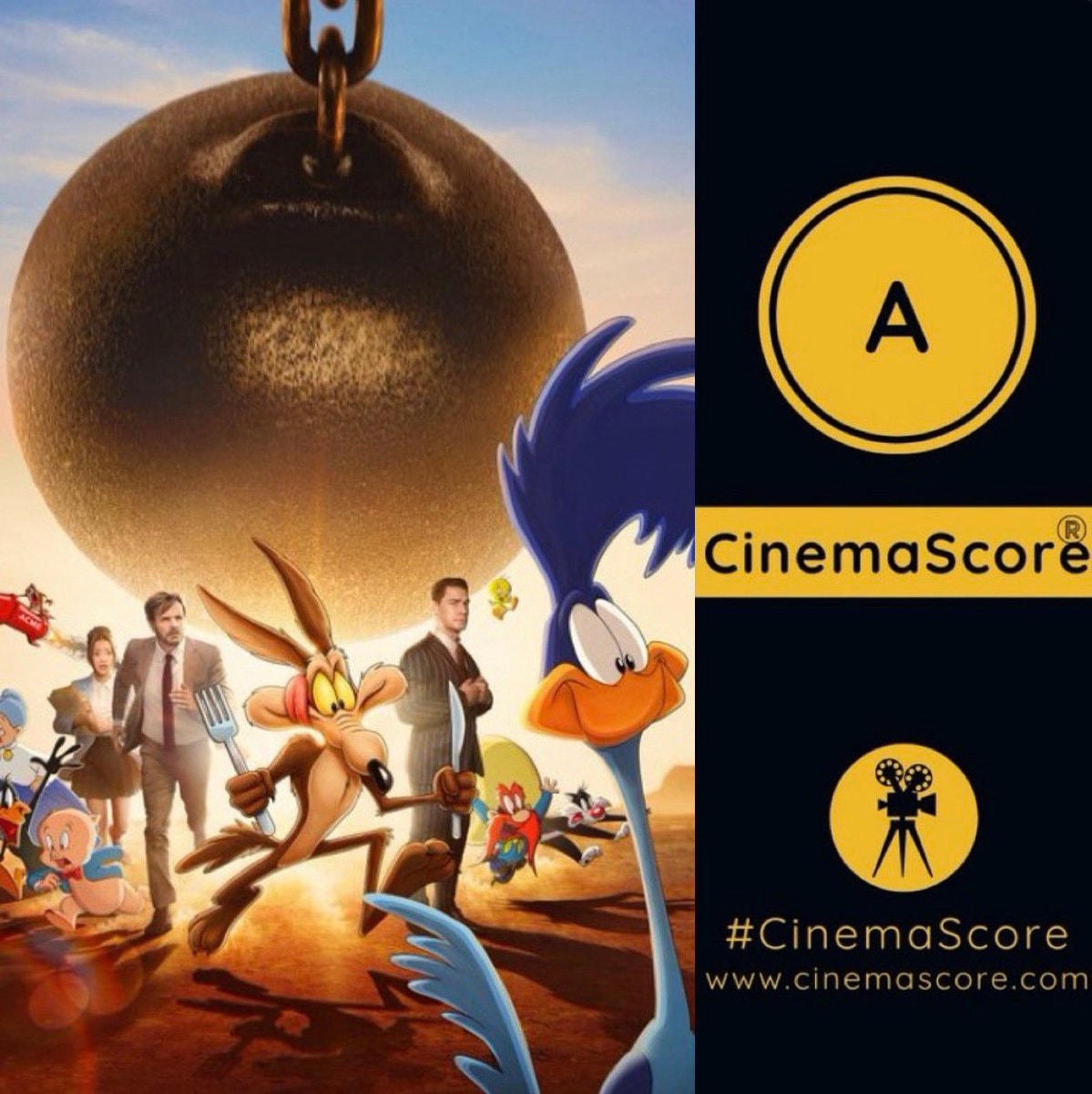 Coyote vs Acme CinemaScore rating