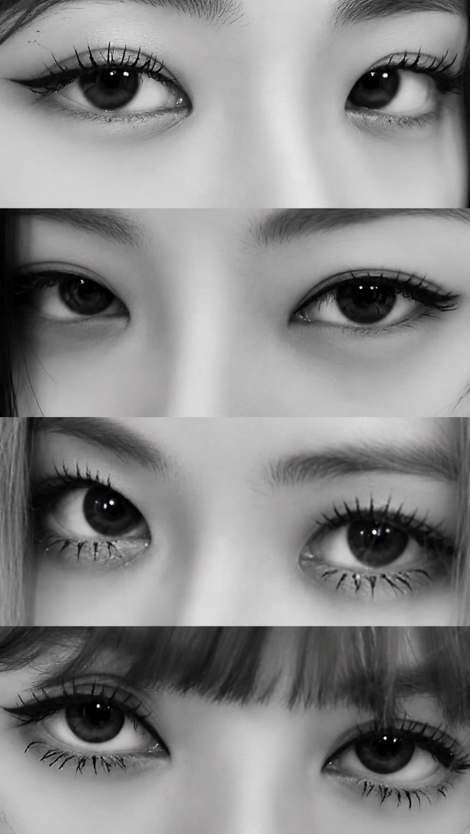 Viral animal eyes collage (photo 2 of 2)