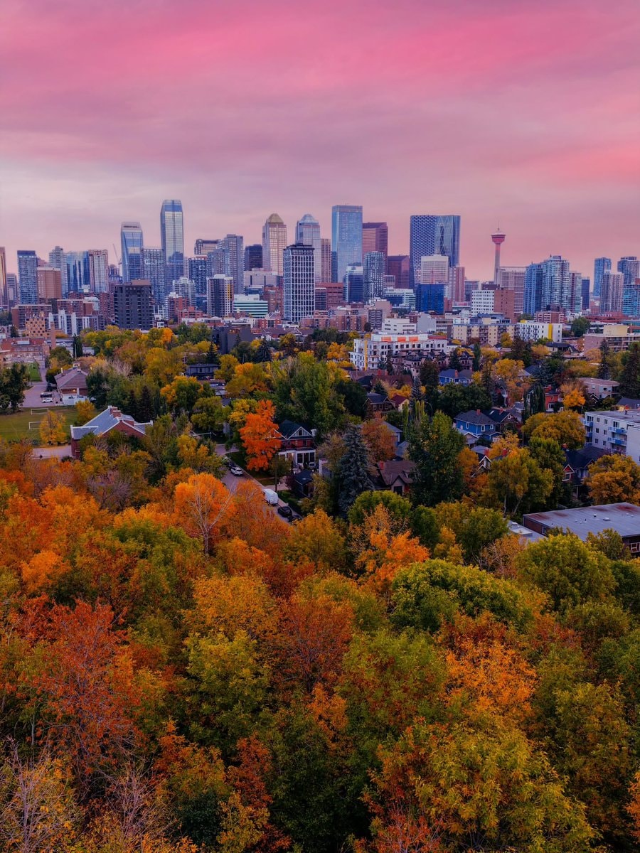 calgary alberta skyline