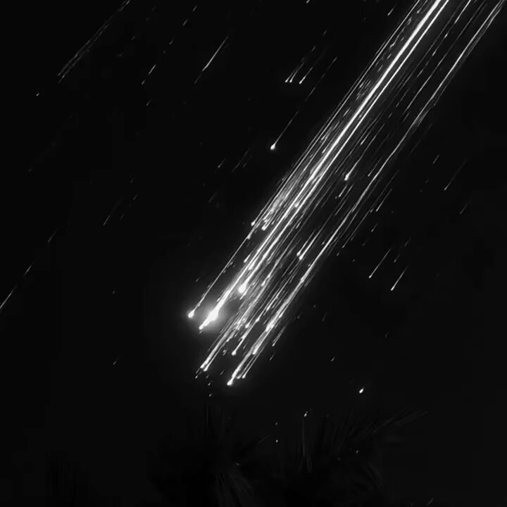 Meteor shower with palm fronds