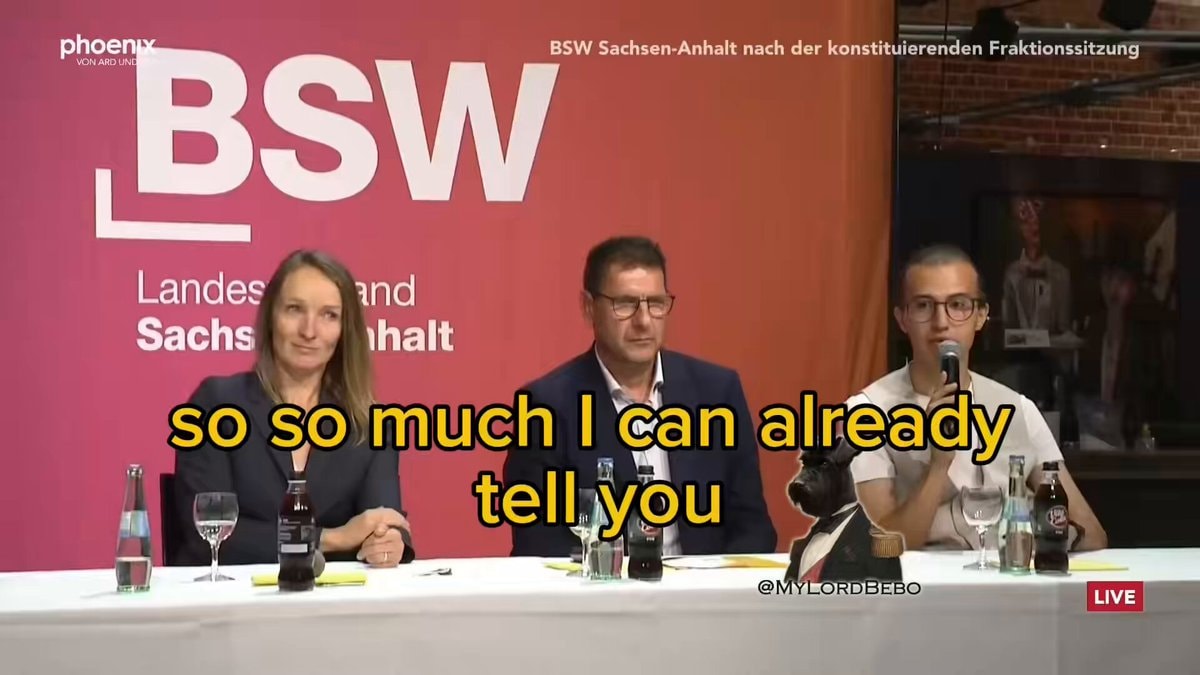 BSW votes for AfD president phoenix ARD ZDF