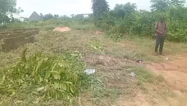 Land plot for sale Edo state Land plot for sale Edo state