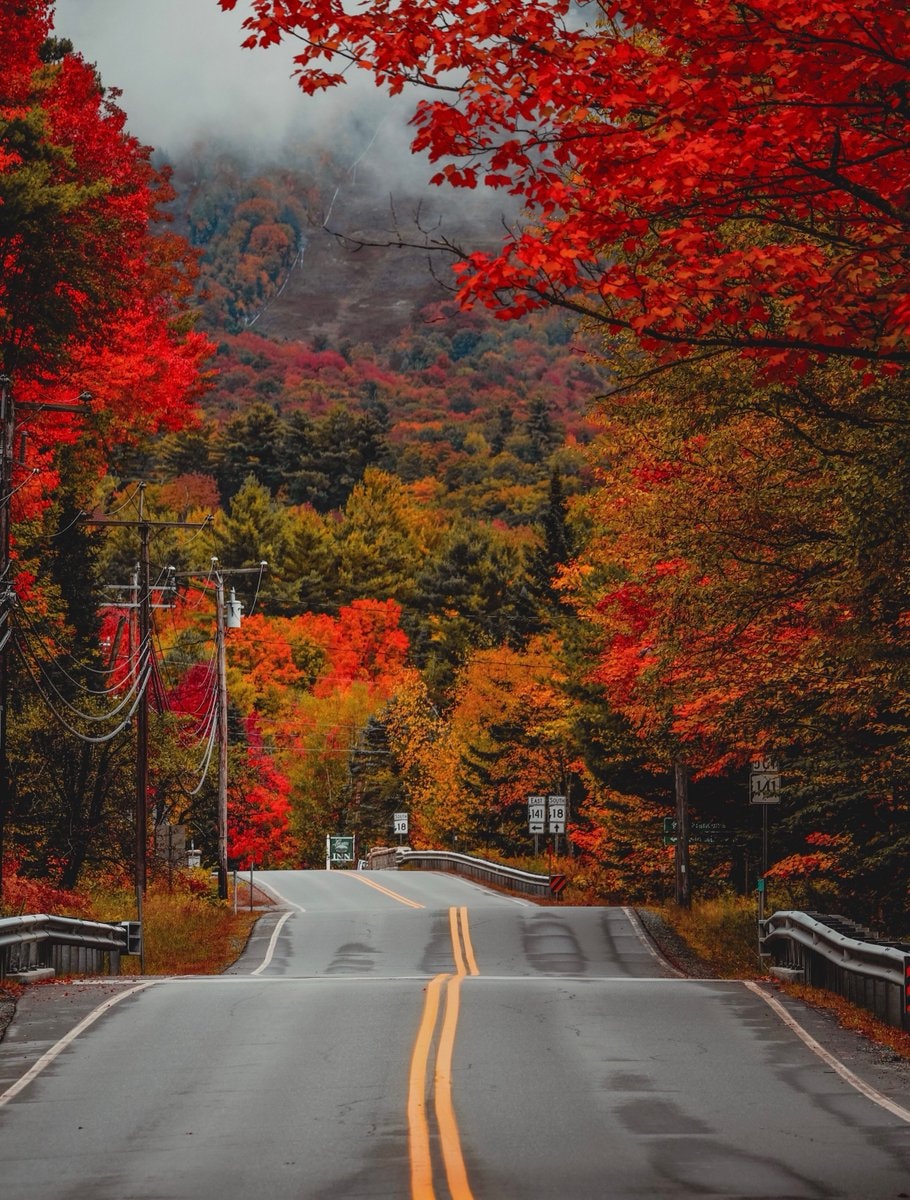 New England fall foliage