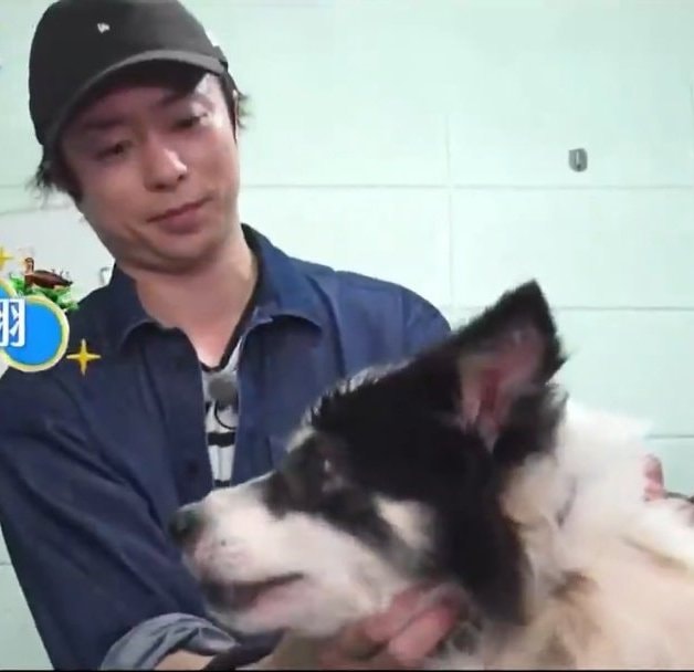 LOVE みんなのどうぶつ園 dog special (photo 2 of 4)