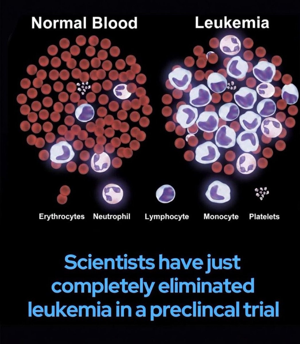 Institut Pasteur B-cell leukemia breakthrough