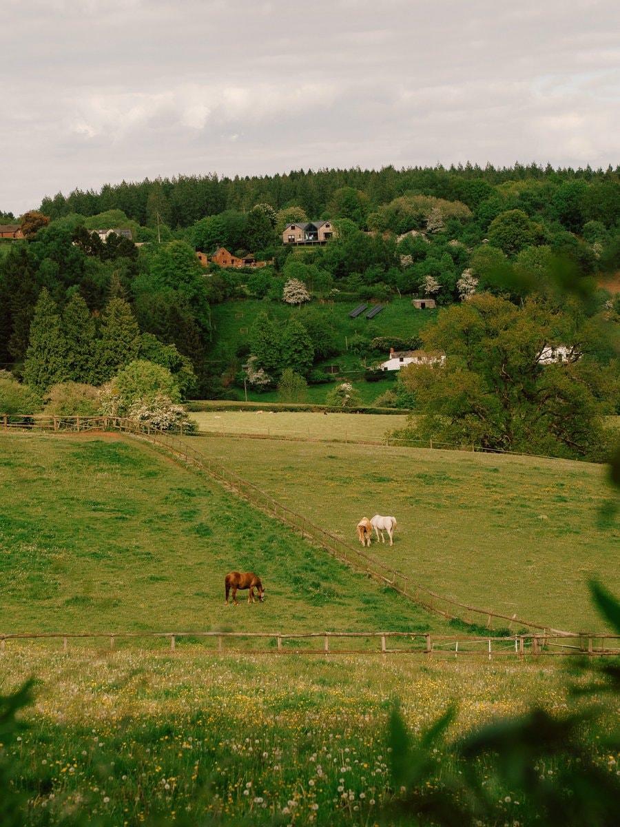 Countryside life stone cottage (photo 3 of 4)