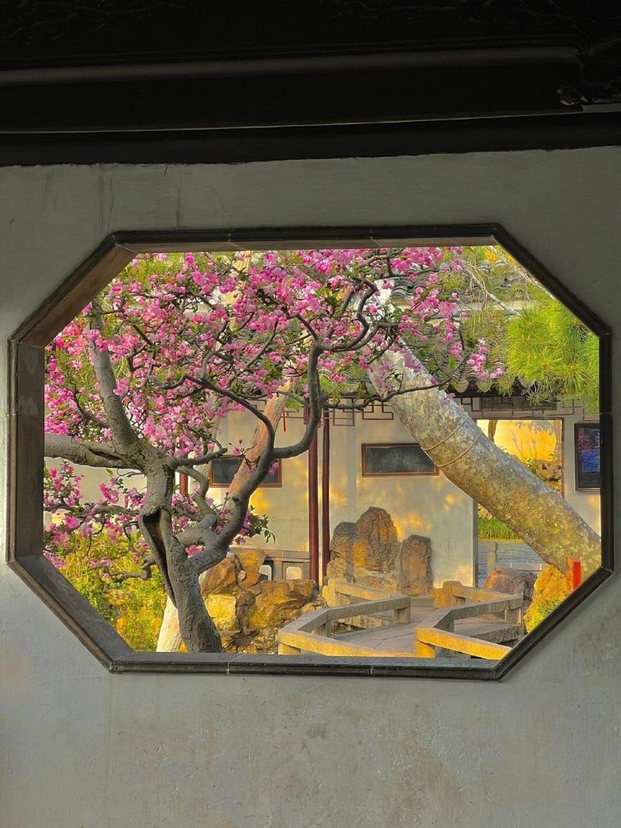 Garden through window flowers (photo 2 of 2)