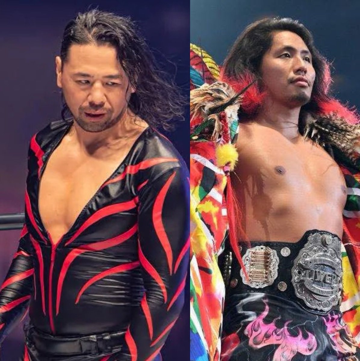 WWE Tag divisions refresh (photo 1 of 4)