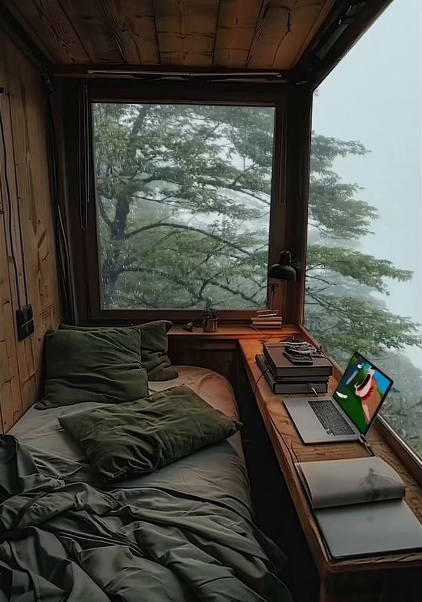 cozy rainy forest room vibes