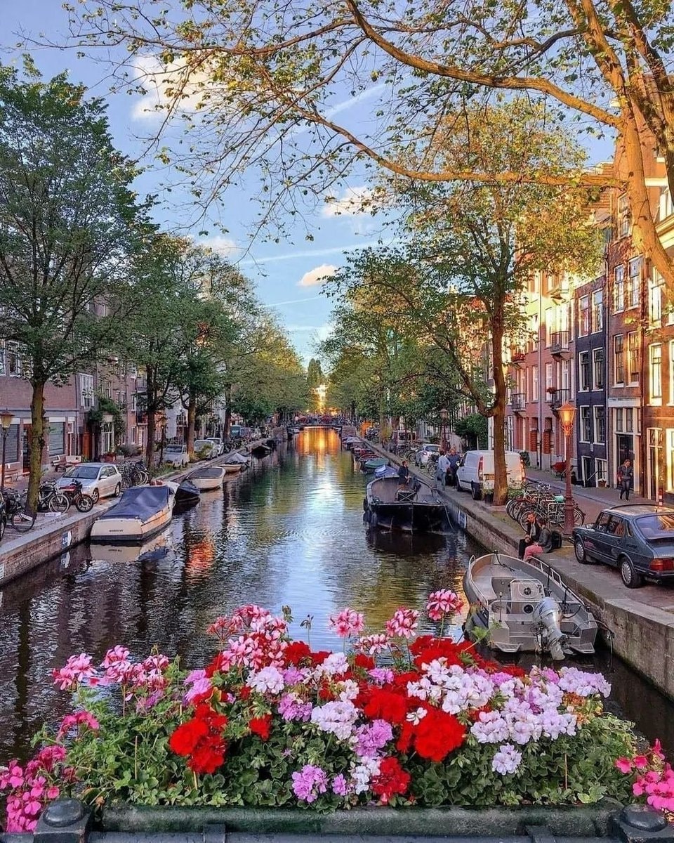 Amsterdam Netherlands (photo 2 of 4)