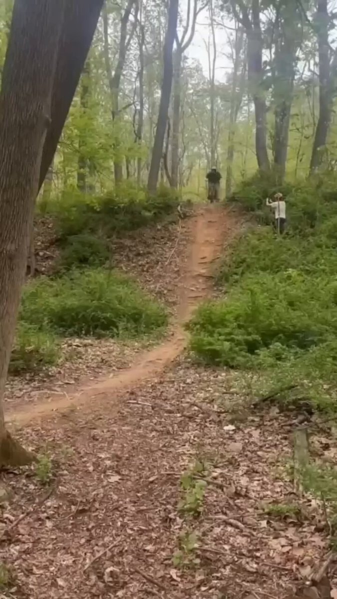 mountain biker on wooded trail