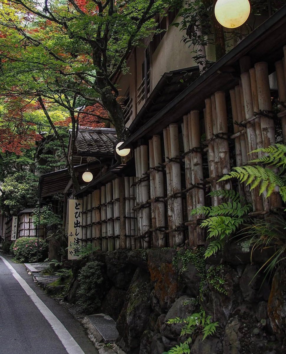 Kyoto street scene tomokotoamu (photo 2 of 4)