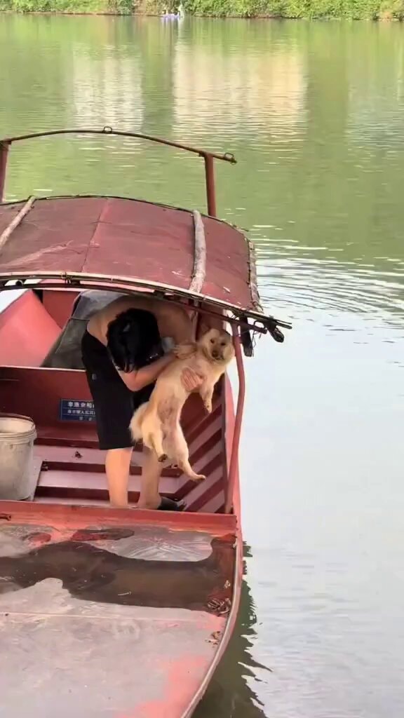 Person holding scared dog on red boat
