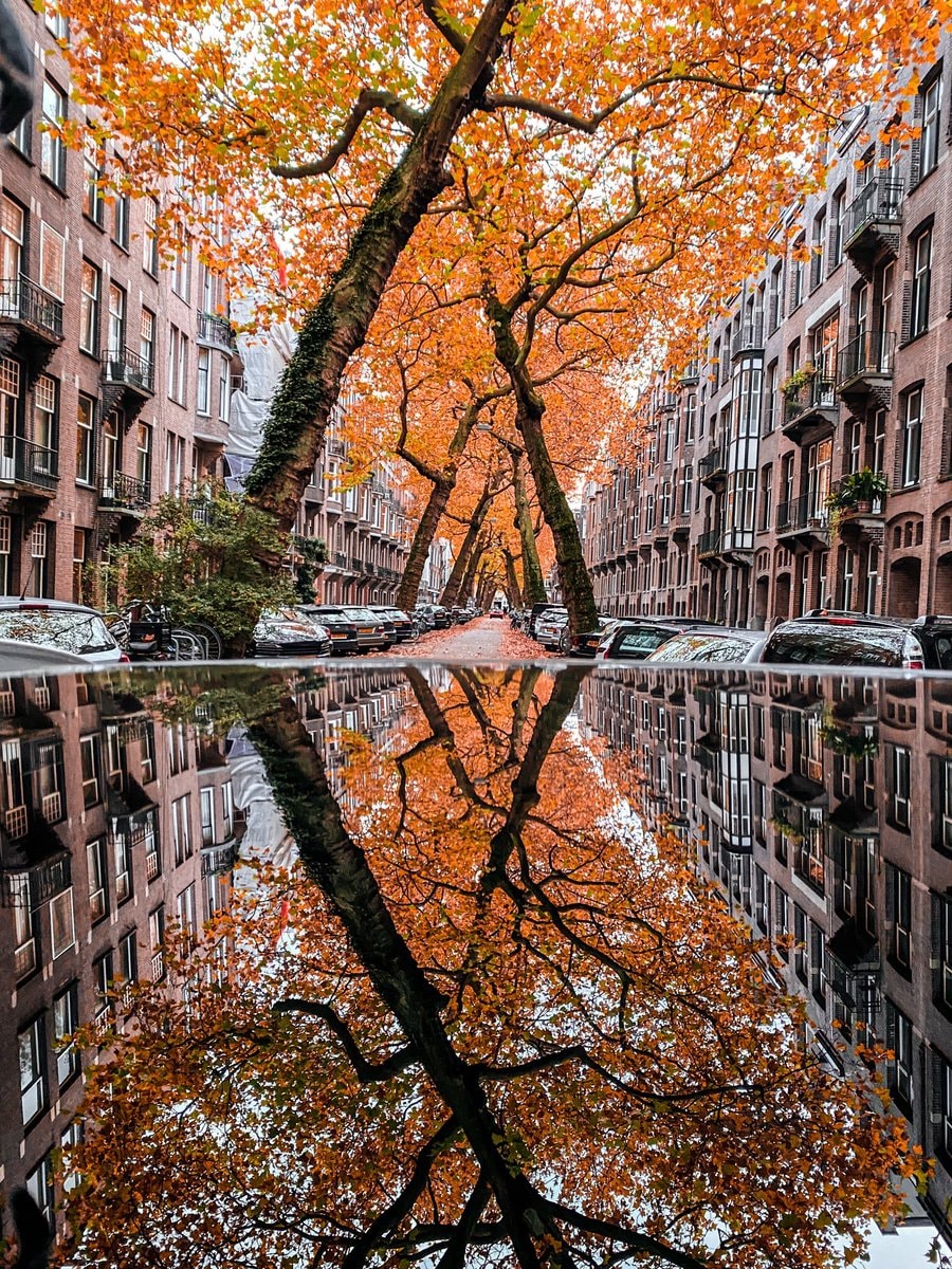 autumn in Amsterdam Netherlands (photo 2 of 4)