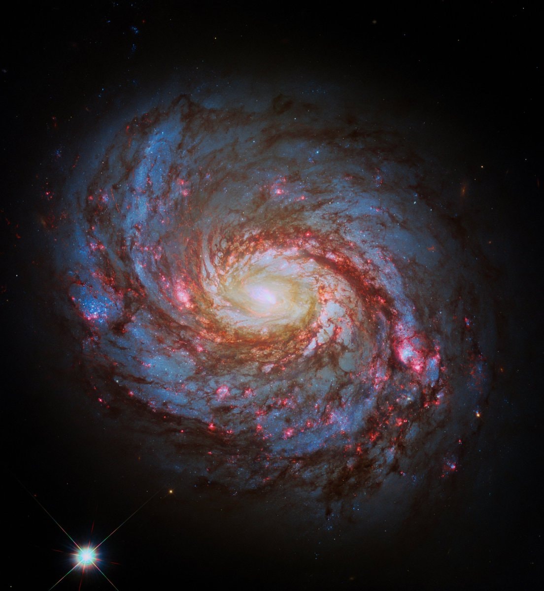 Spiral Galaxy M77