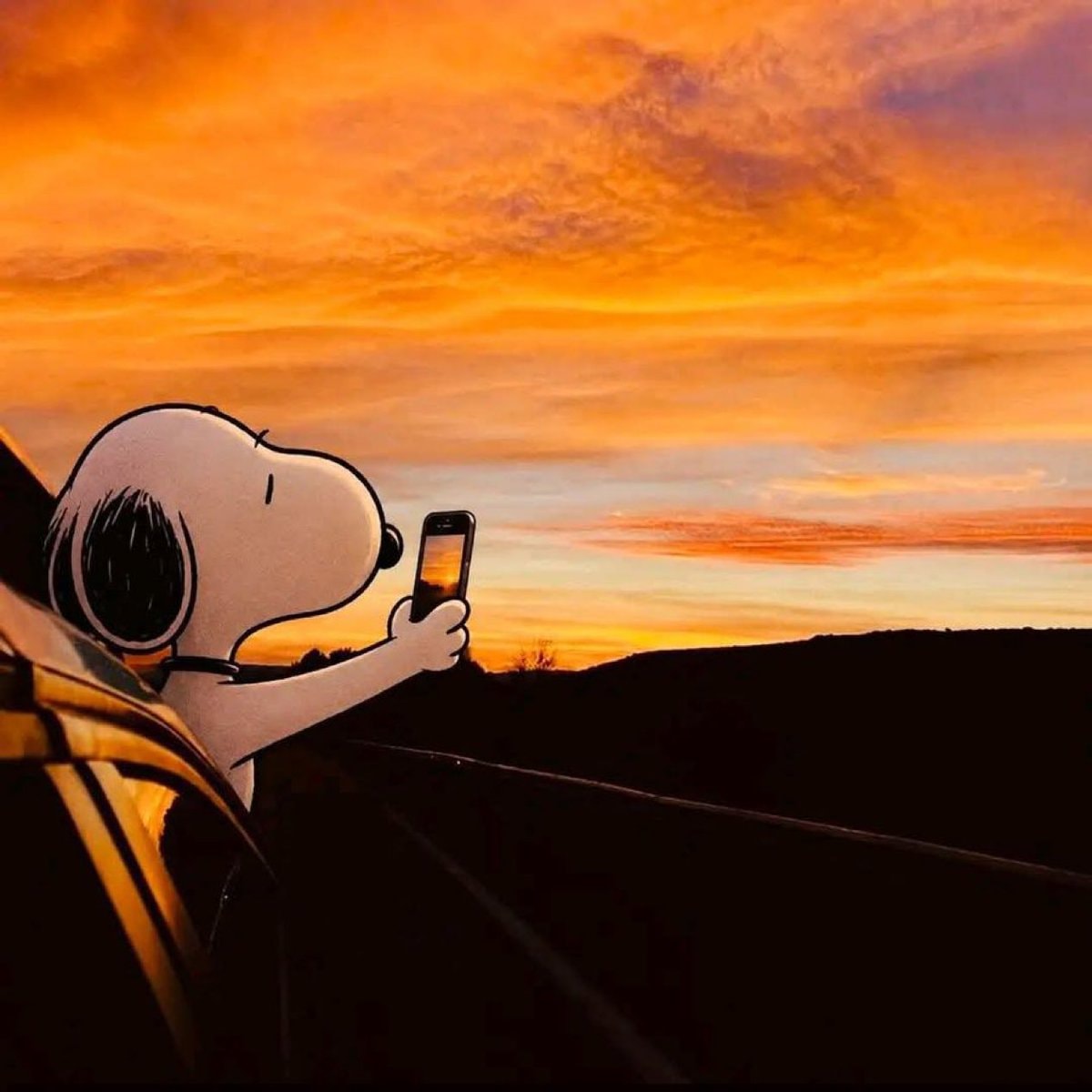 Snoopy sunset selfie