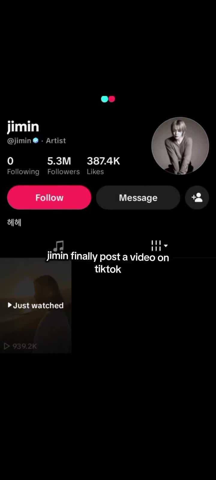 Jimin TikTok profile update