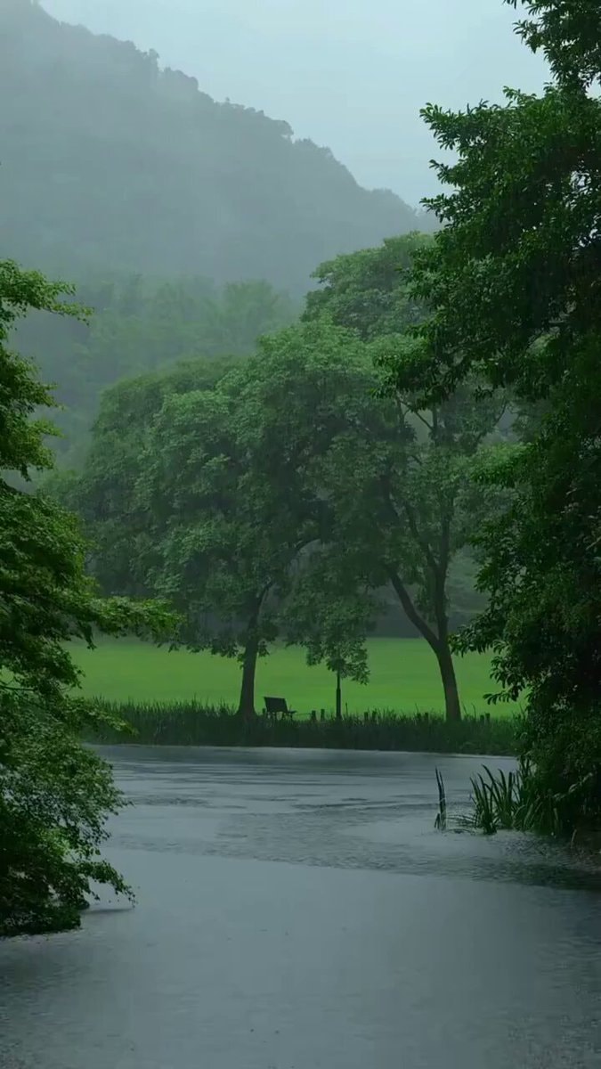 Peace in the rain