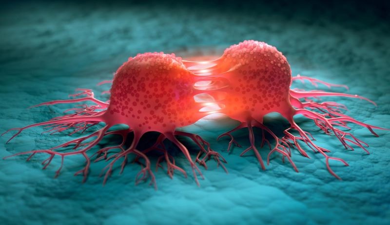 tumor-eating bacteria (photo 2 of 2)