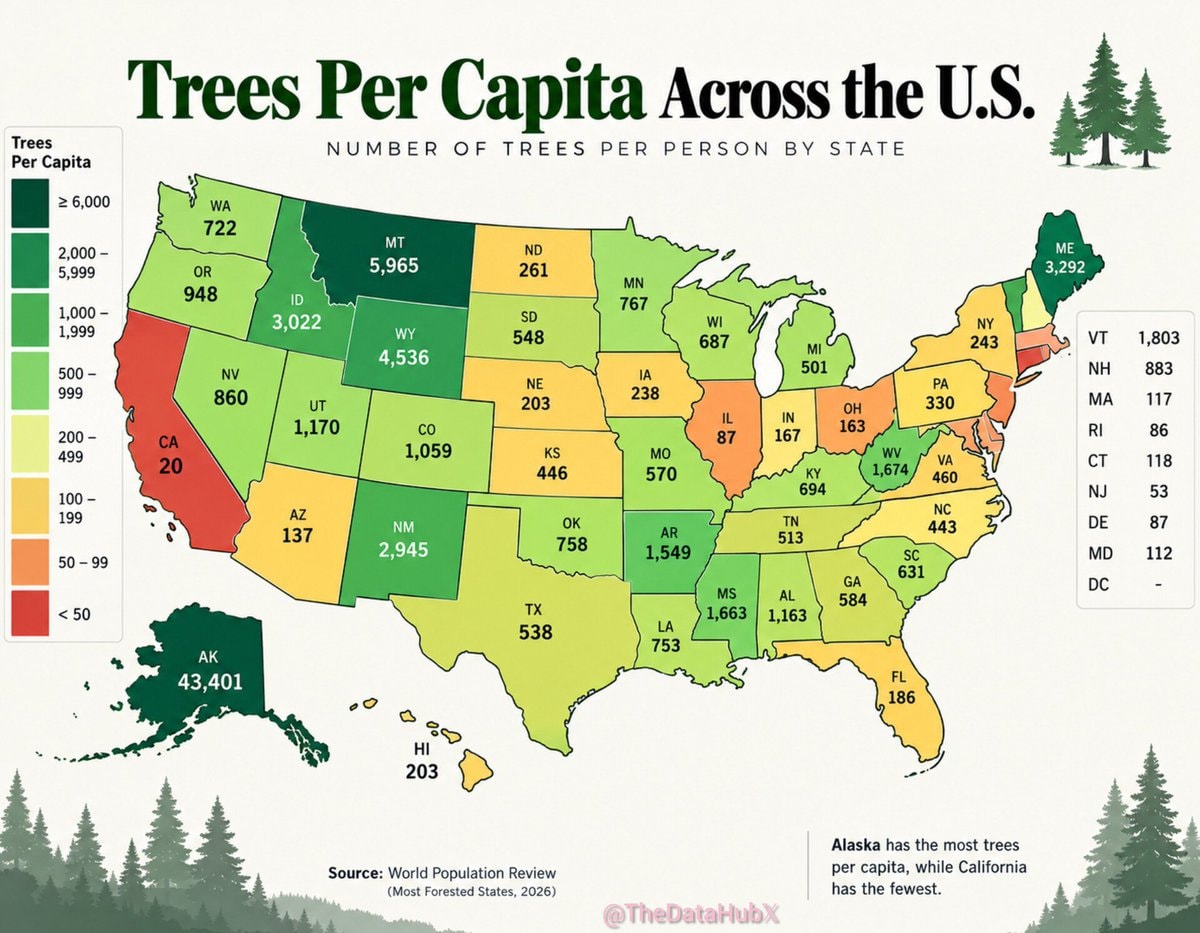 Trees Per Capita Across the U.S.