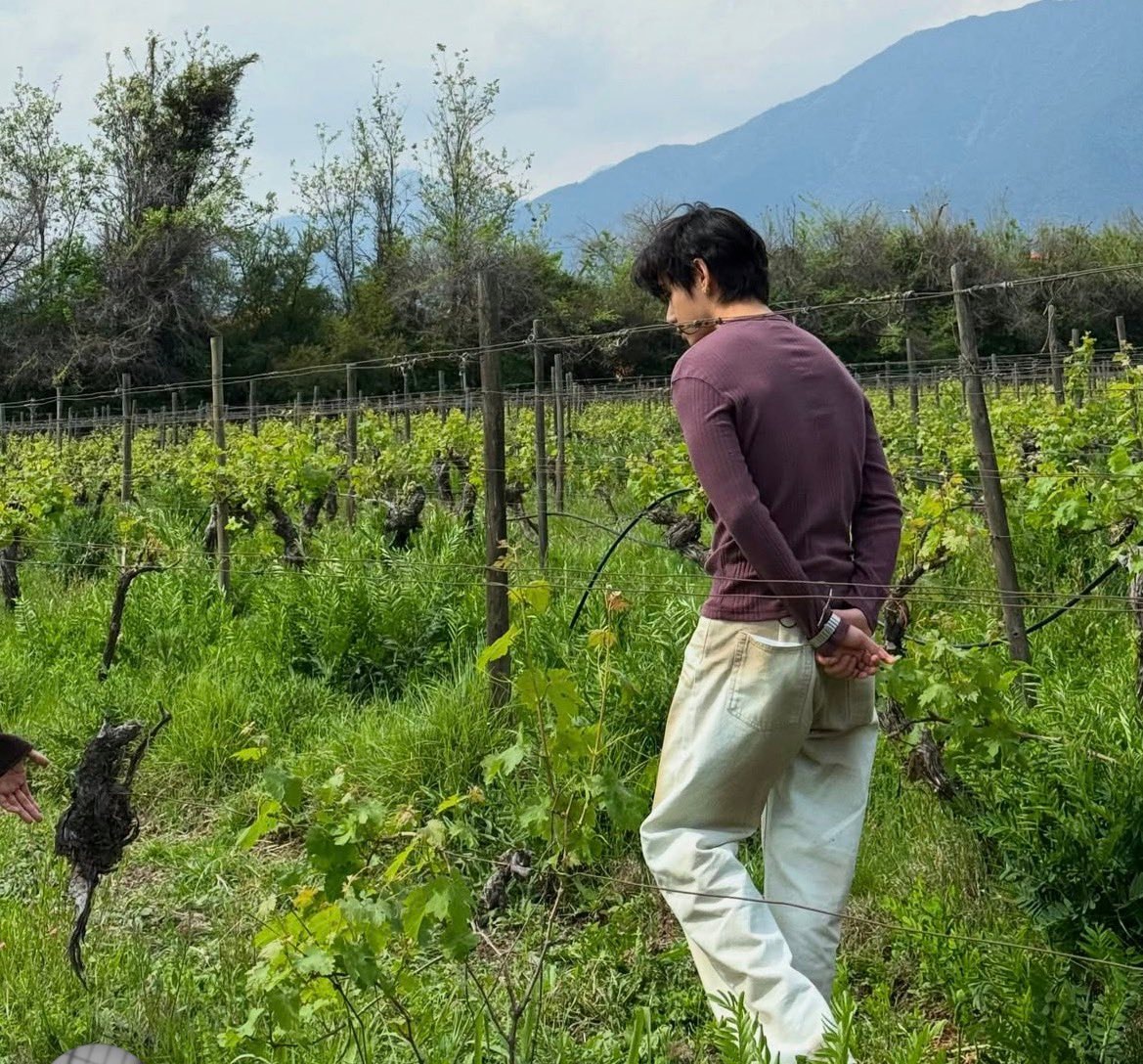 Kim Taehyung LAZU wine post (photo 4 of 4)