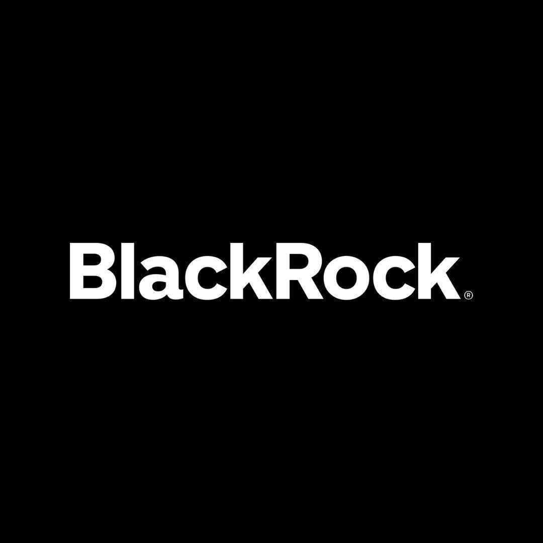 BlackRock Bitcoin statement (photo 1 of 2)