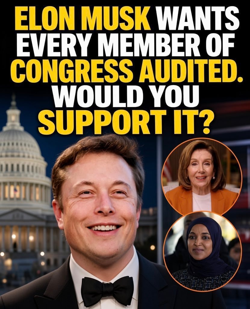 Elon Musk Congress audit query