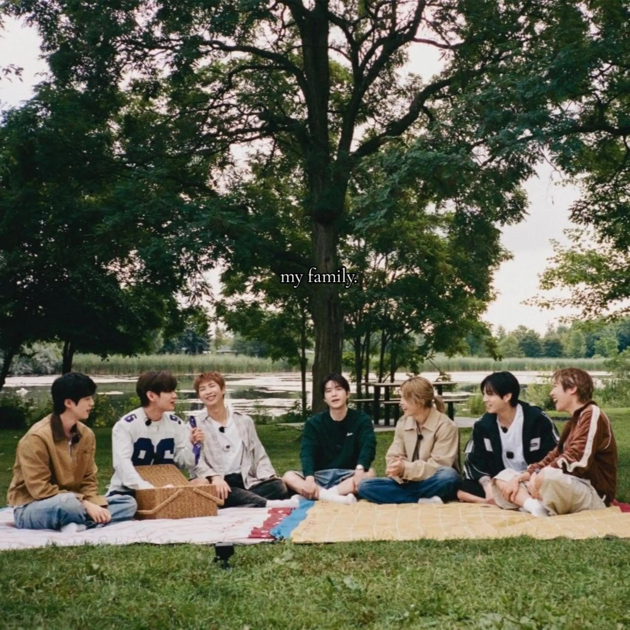 BTS picnic moment
