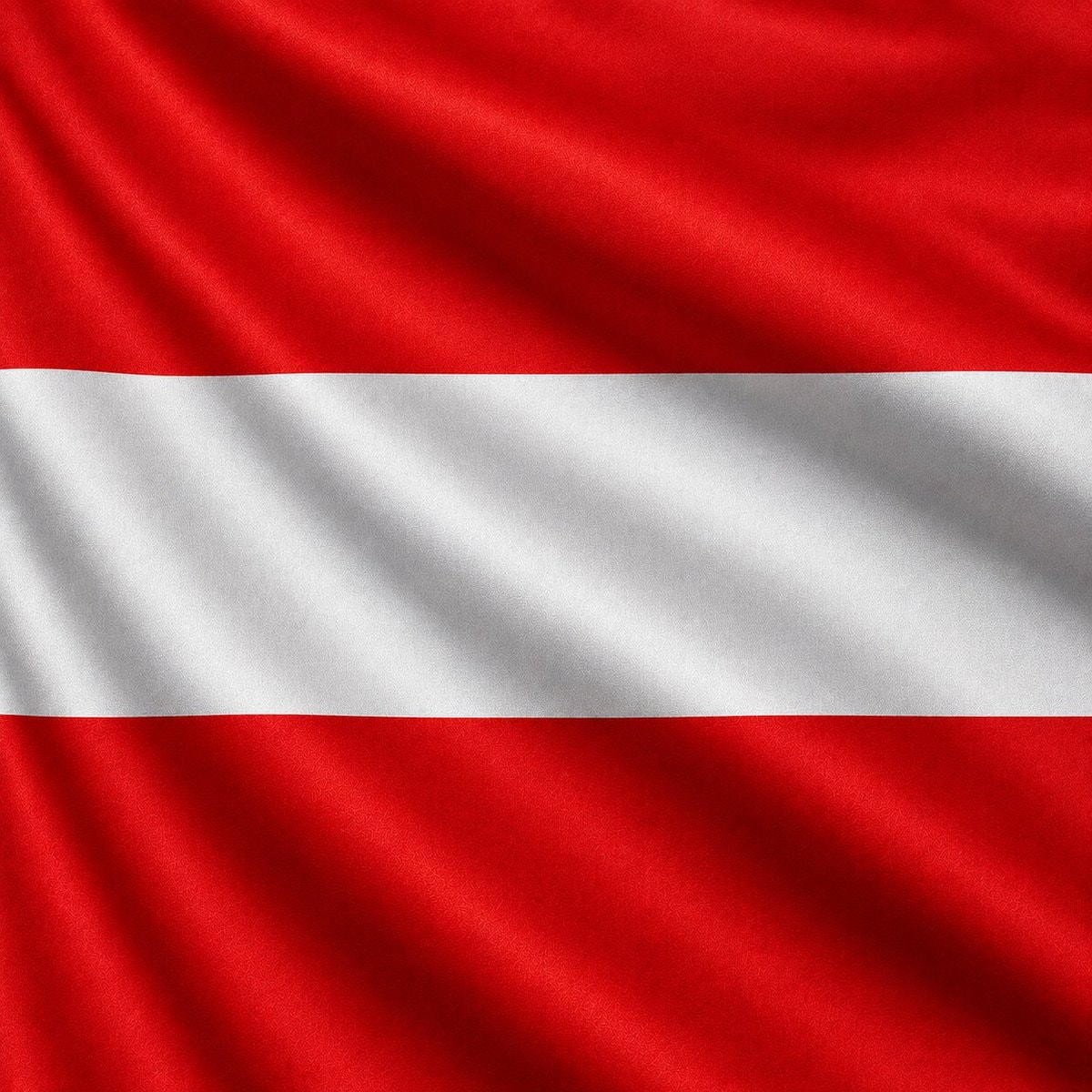 Austria World Cup history (photo 2 of 2)