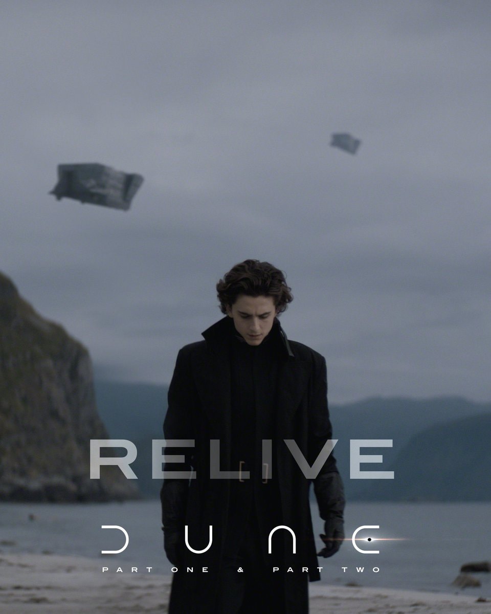 Timothée Chalamet Dune beach pose