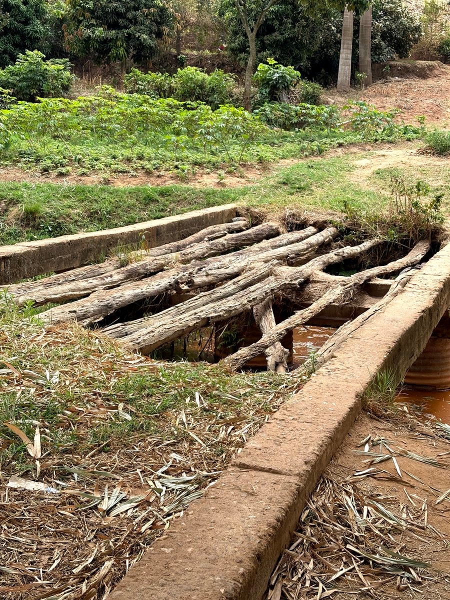 rice farming bridge and water catchment (photo 3 of 4)