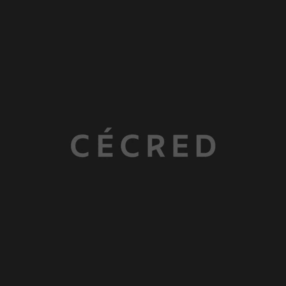 Beyoncé on building CÉCRED (photo 2 of 2)