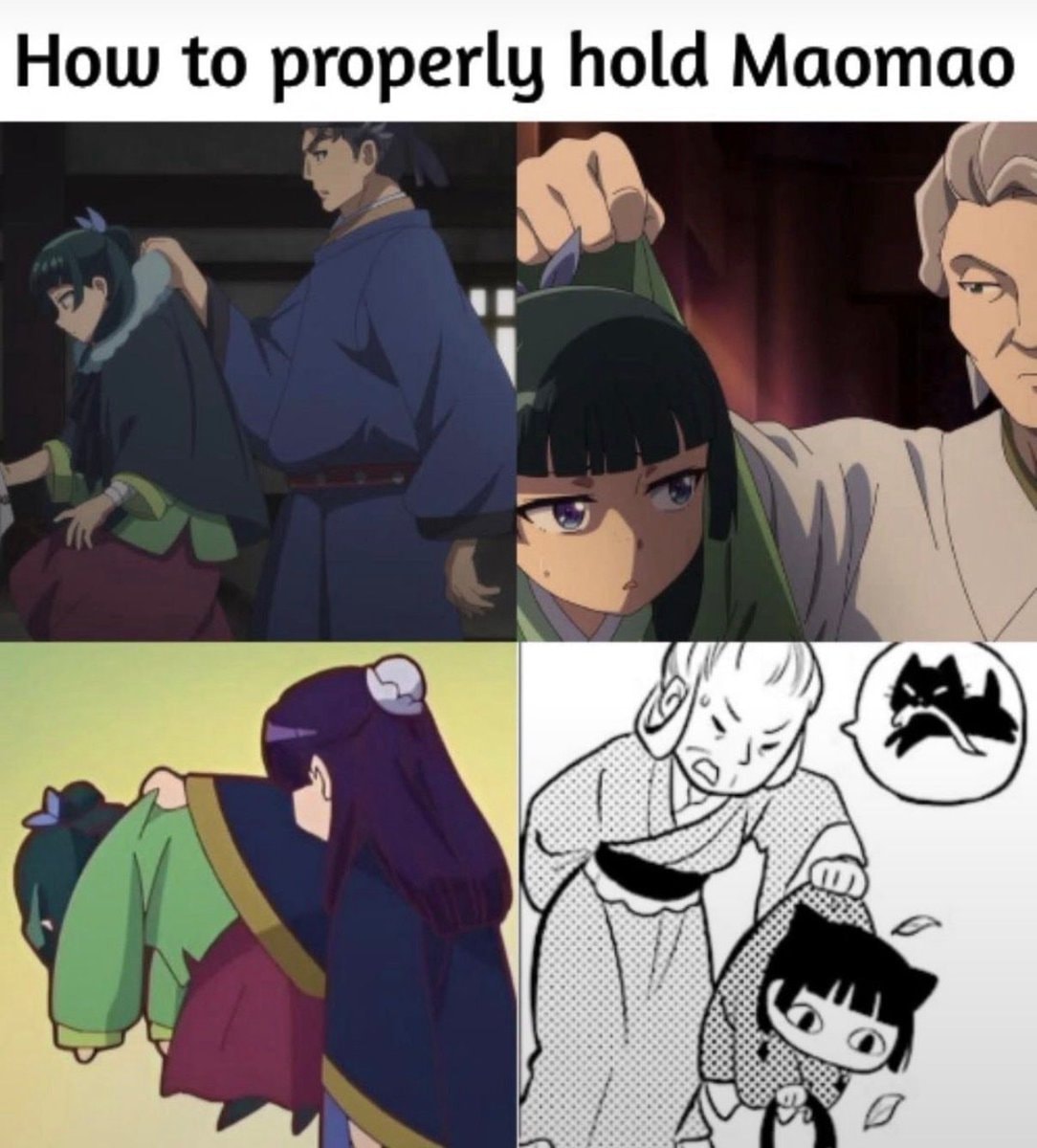 Maomao holding guide