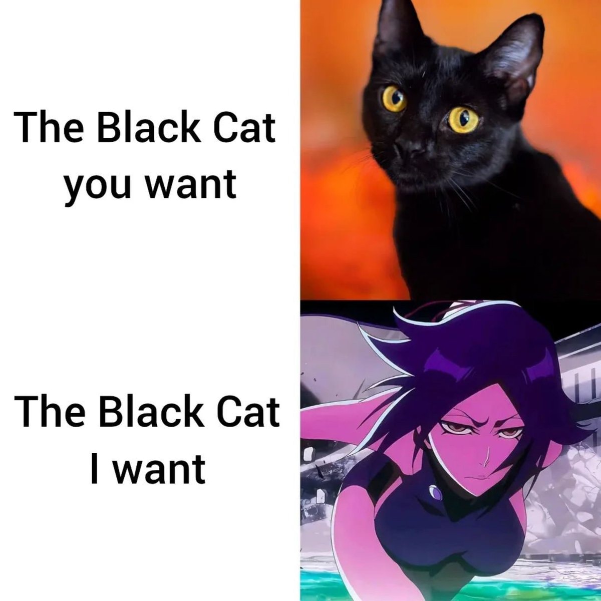 Black cat meme Yoruichi Shihouin