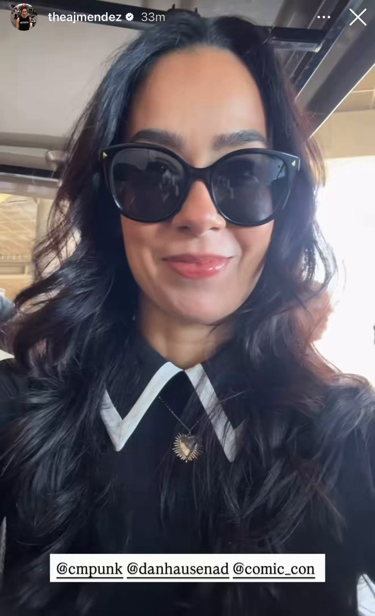 AJ Lee CM Punk Danhausen SDCC