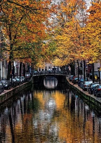 Amsterdam canals in autumn (photo 4 of 4)