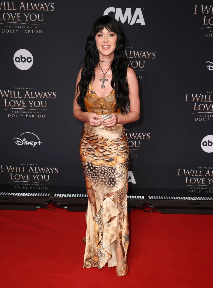 Katy Perry CMA Presents I Will Always Love You