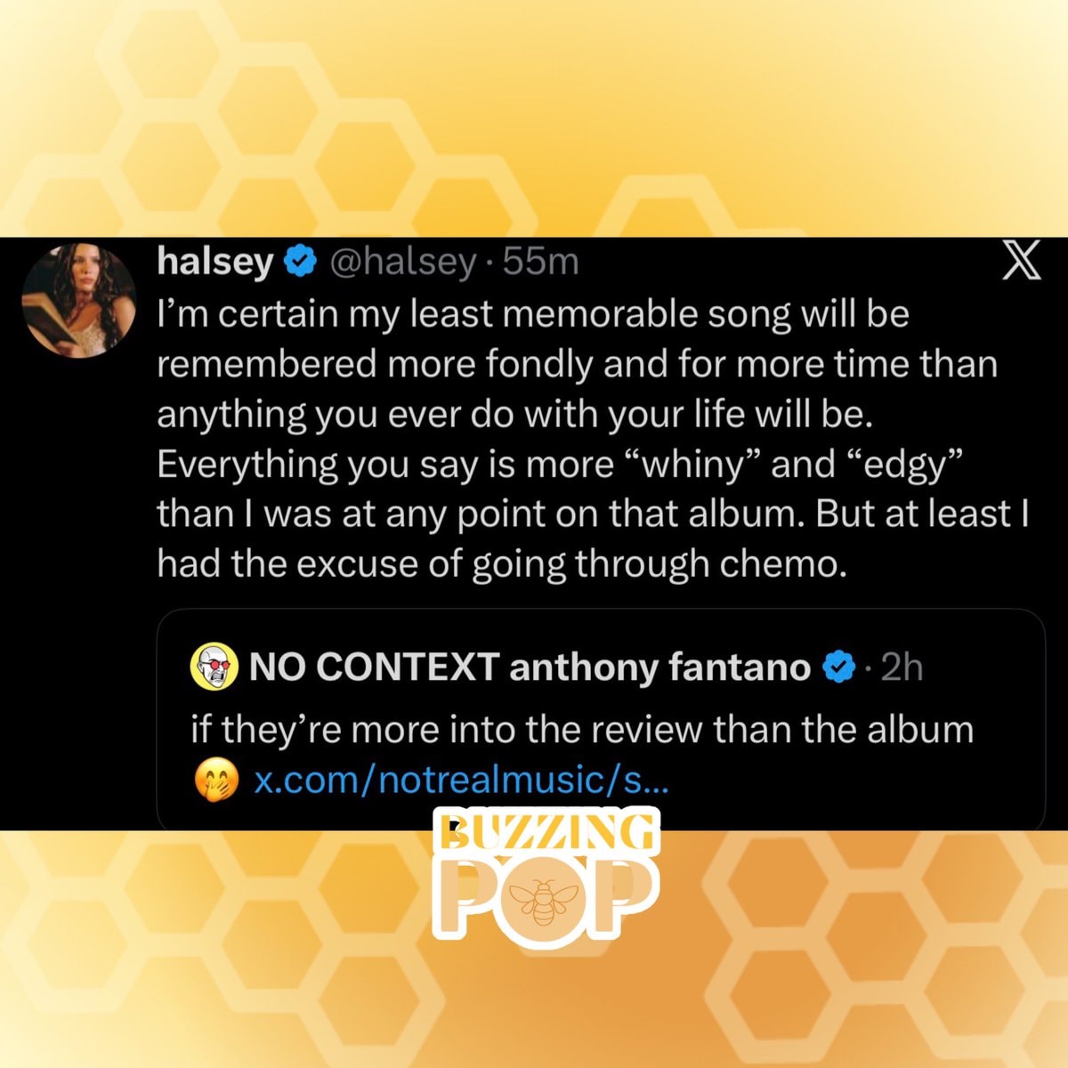 Halsey vs Anthony Fantano (photo 2 of 2)