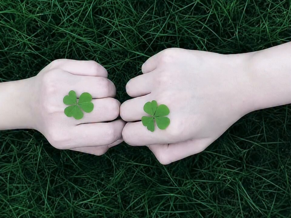 Four-leaf clover good luck