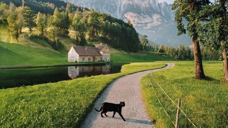 European countryside cycling scene (photo 2 of 3)