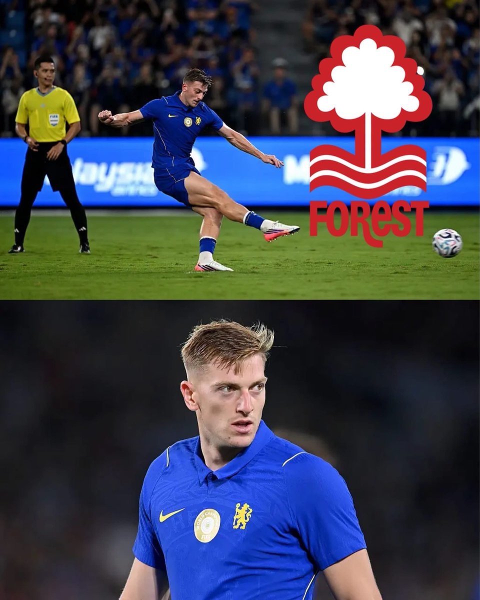 Liam Delap Chelsea transfer fee