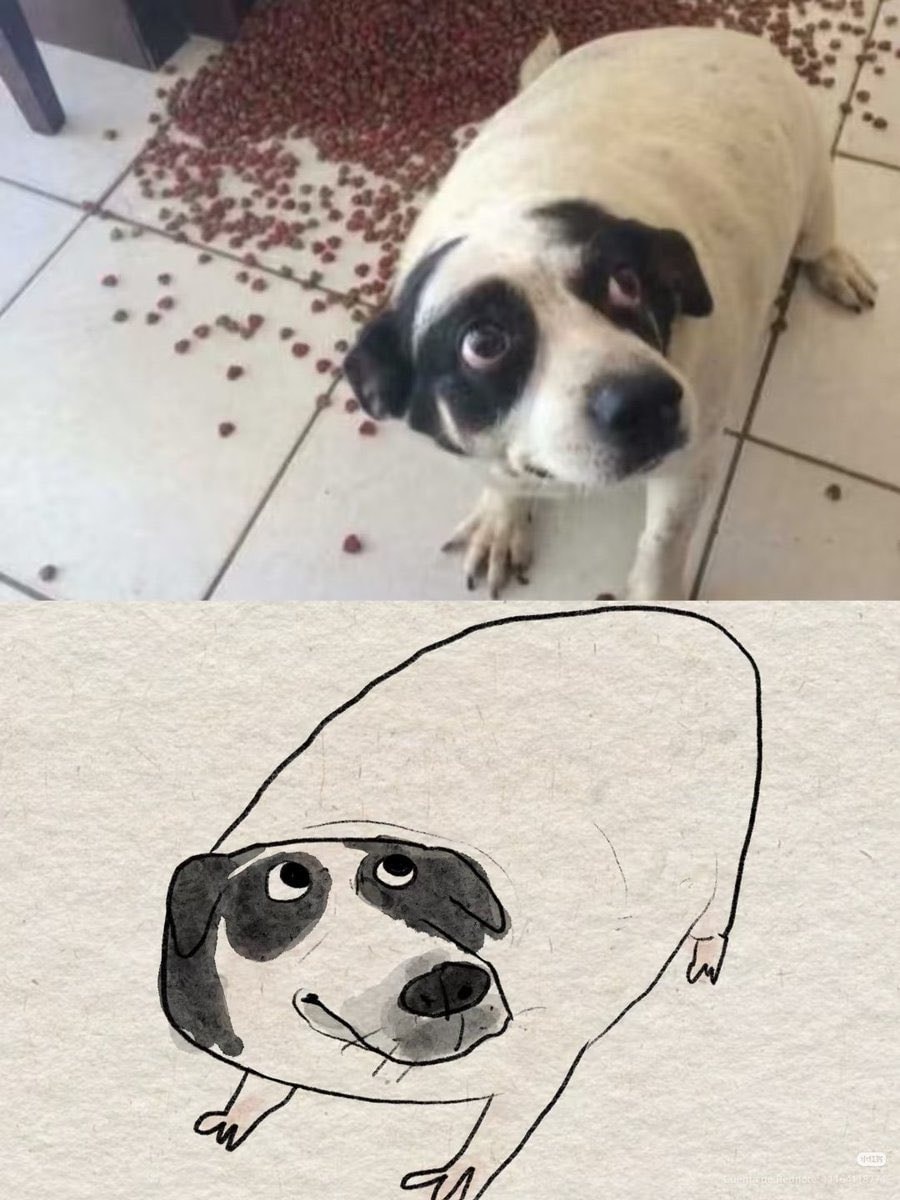 spilled dog food meme spilled dog food meme